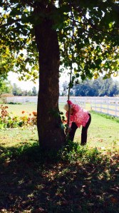"Mema" Sherry Van Campen (89) trimming trees at LZ-Grace