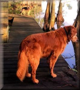 Spike & Selah Meditation